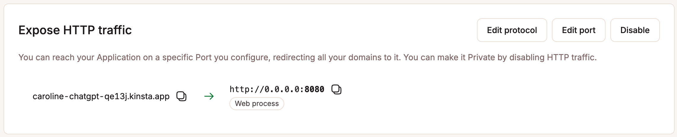 The domain, hostname and port of the application.