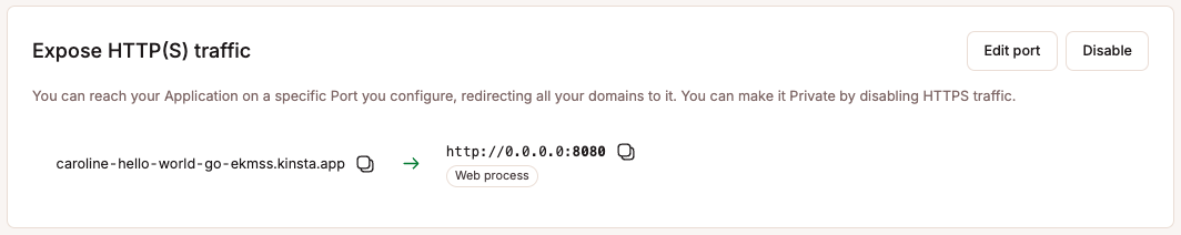 The domain, hostname and port of the application.